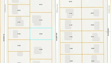 250 Williams Avenue Orange City FL 32763