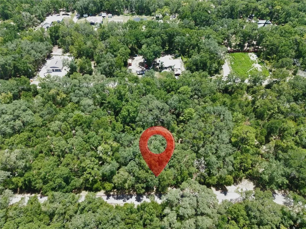 Tbd Fisher Lane Drive Ocklawaha FL 32179