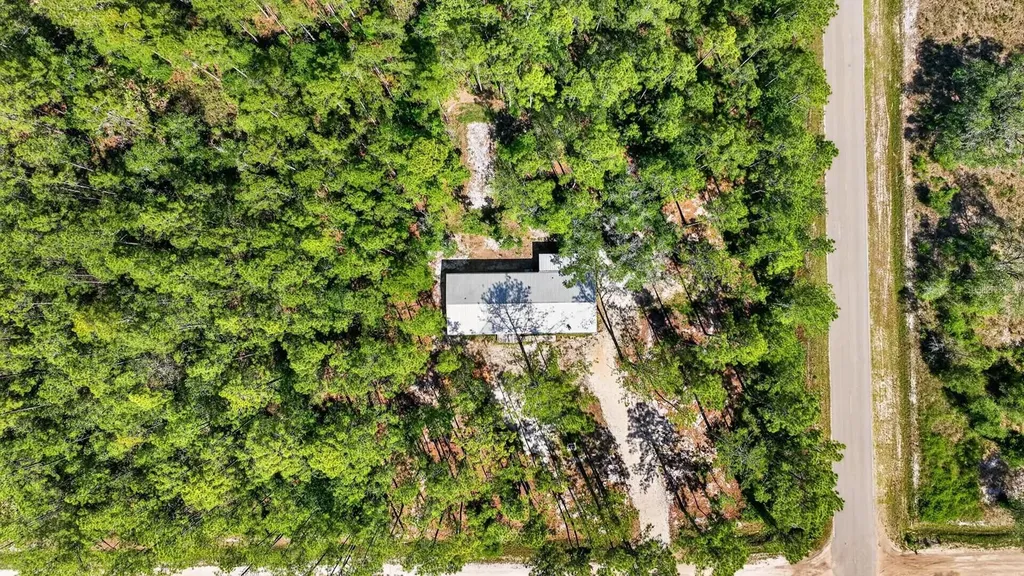 10570 Delgado Avenue Hastings FL 32145