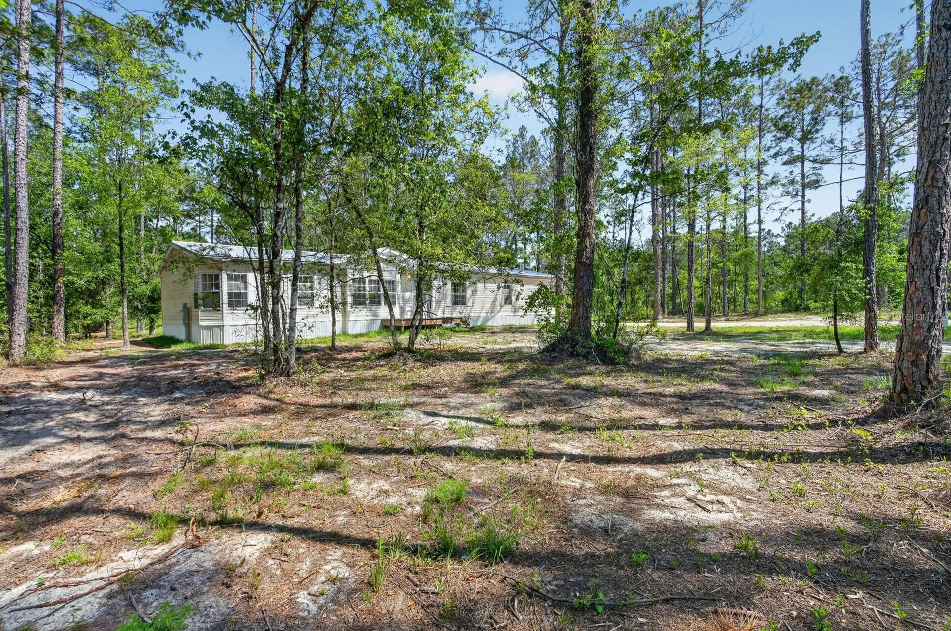 10570 Delgado Avenue Hastings FL 32145