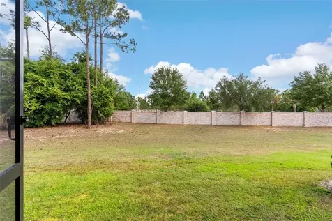 1121 Pavia Drive Apopka FL 32703