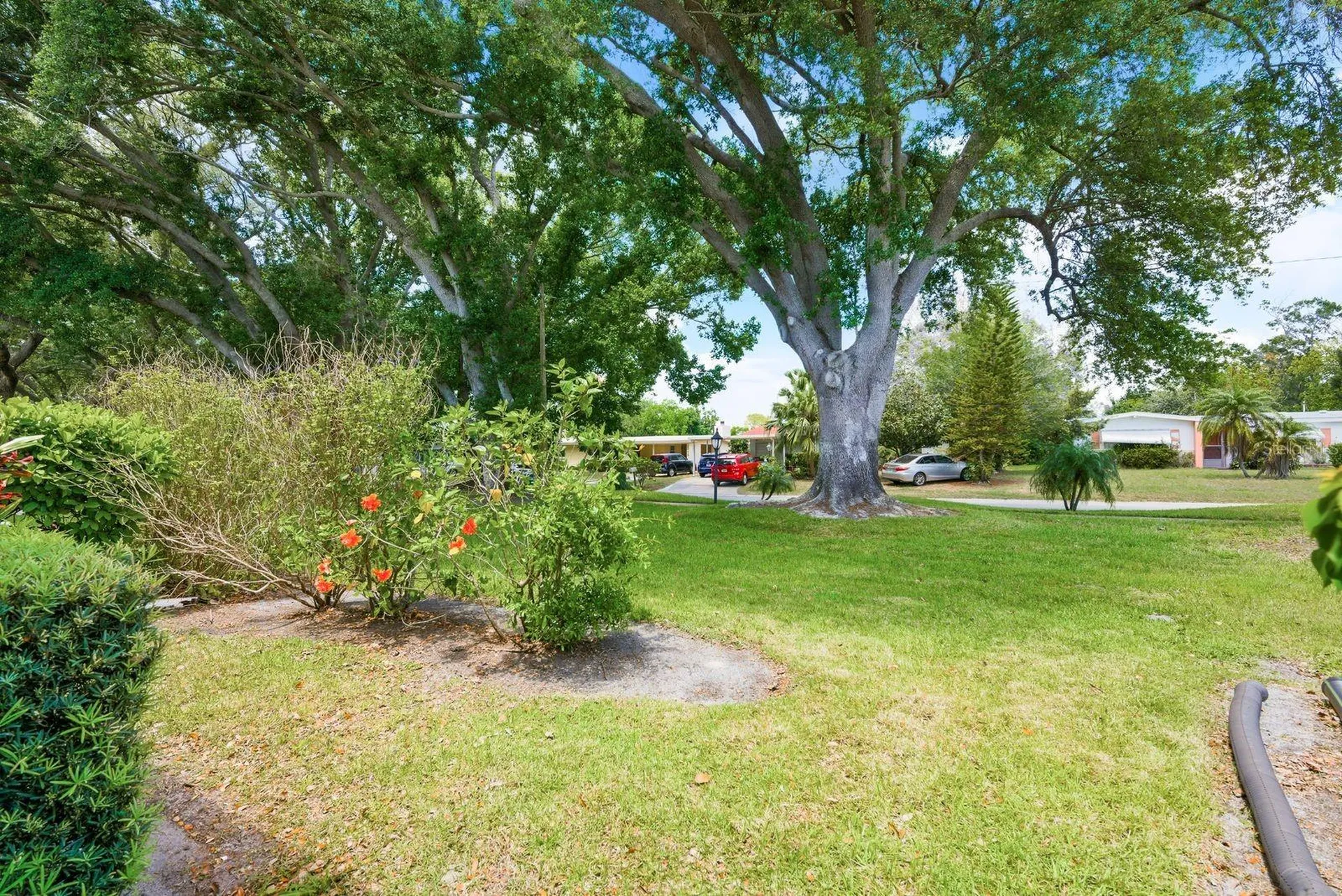 1655 S Highland Avenue Clearwater FL 33756