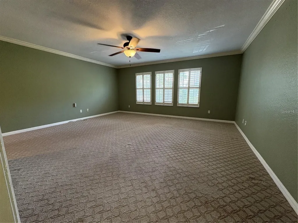 2856 Bayshore Trails Drive Tampa FL 33611