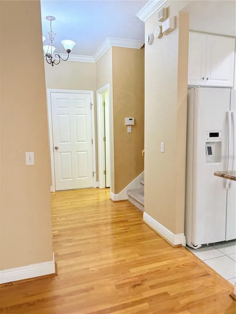 2856 Bayshore Trails Drive Tampa FL 33611