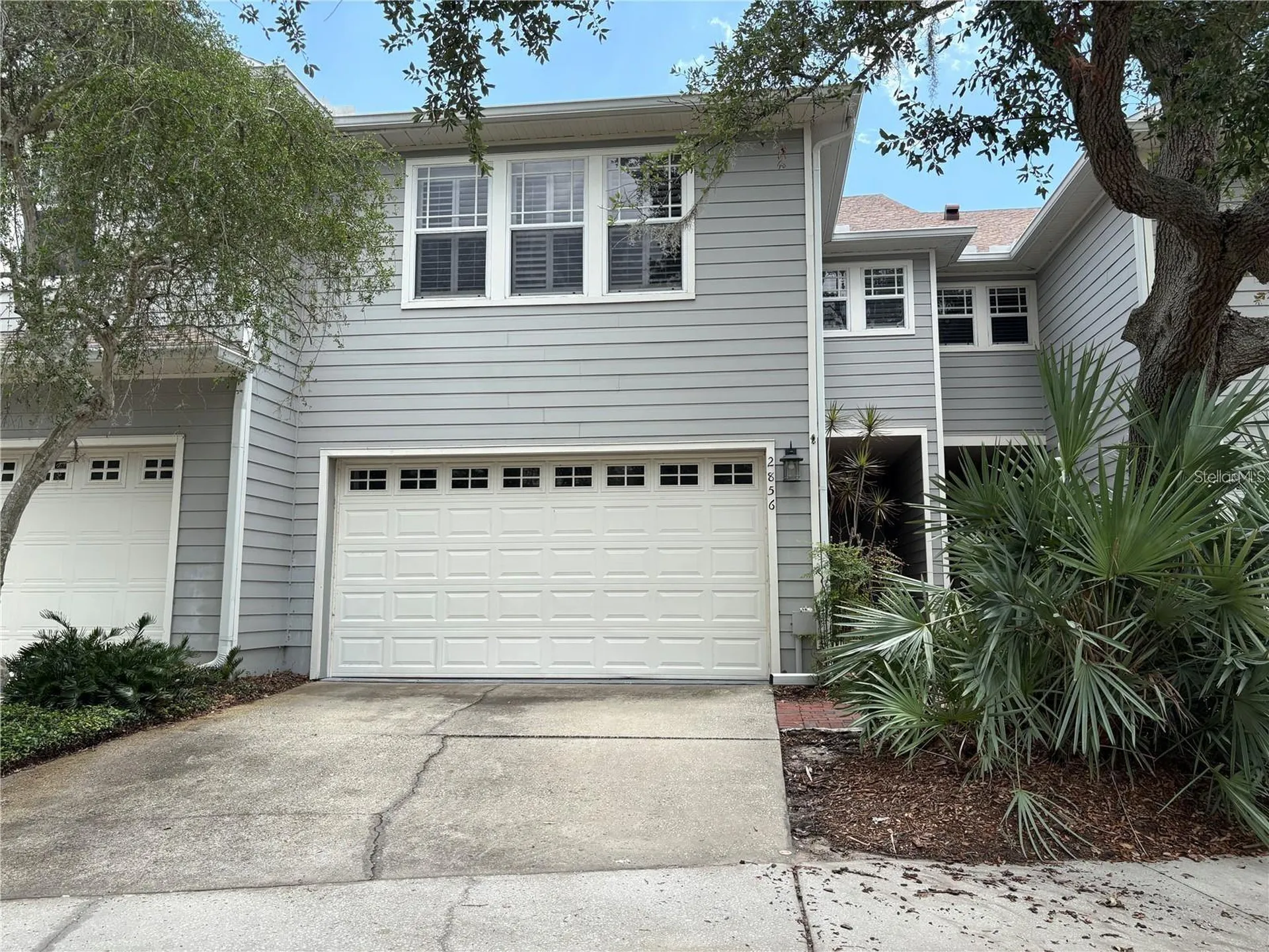 2856 Bayshore Trails Drive Tampa FL 33611
