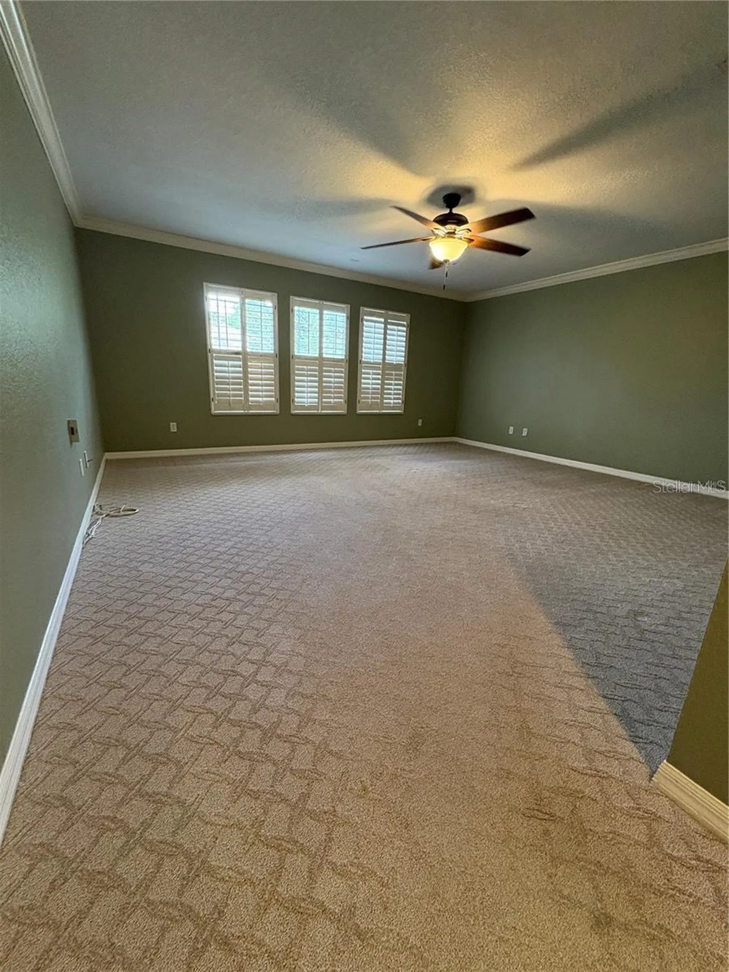2856 Bayshore Trails Drive Tampa FL 33611