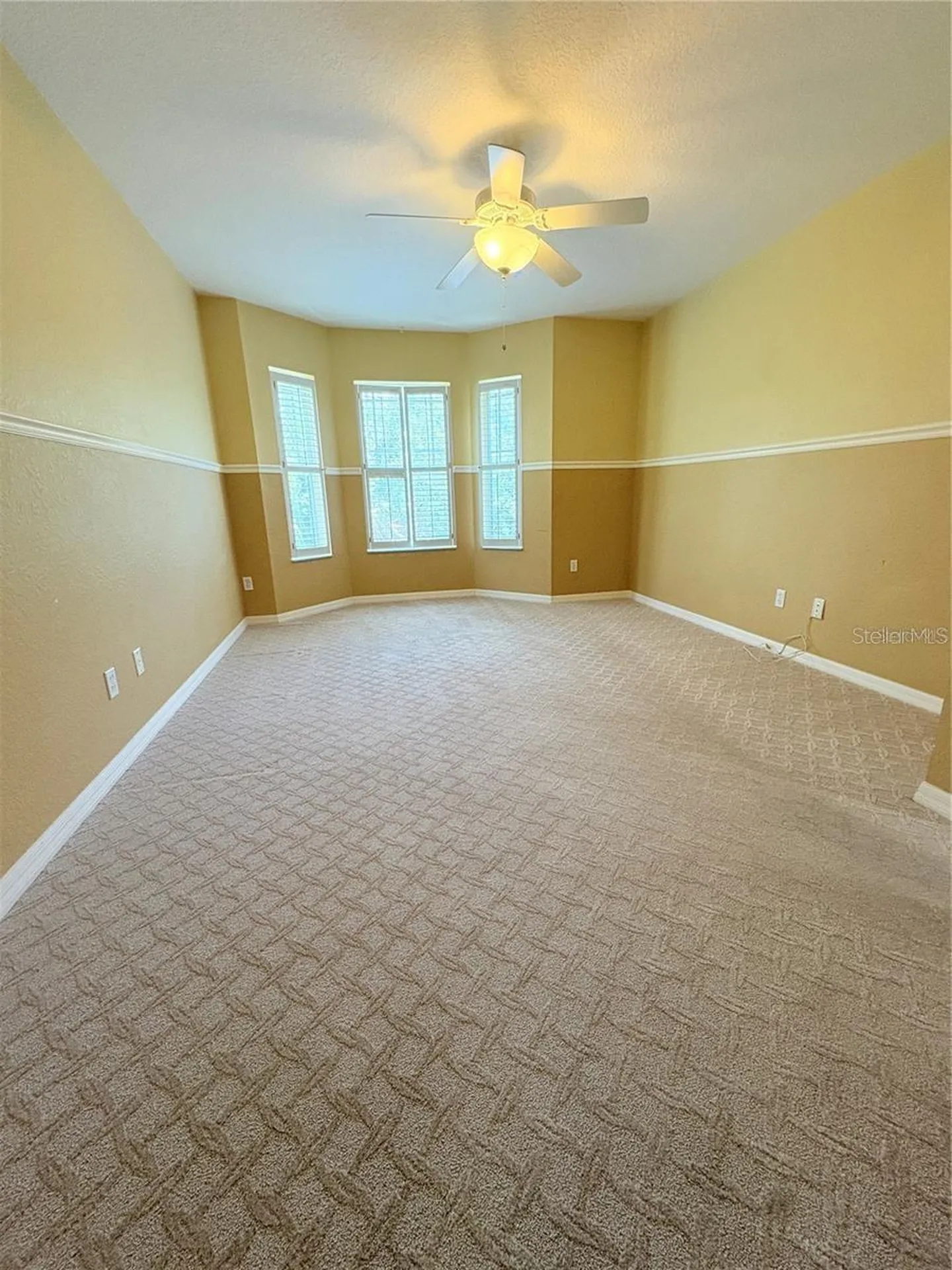 2856 Bayshore Trails Drive Tampa FL 33611