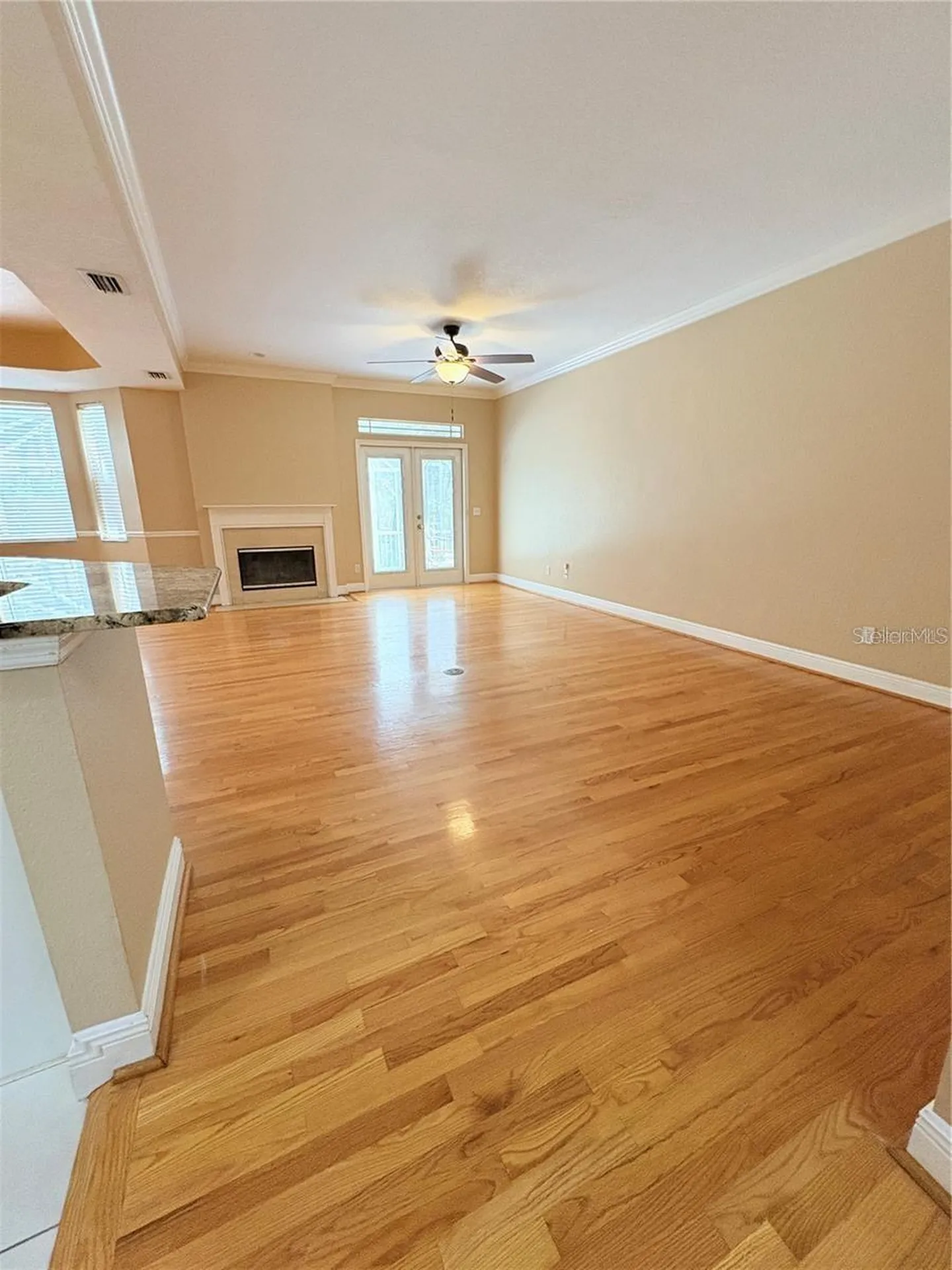 2856 Bayshore Trails Drive Tampa FL 33611
