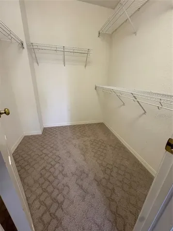 2856 Bayshore Trails Drive Tampa FL 33611