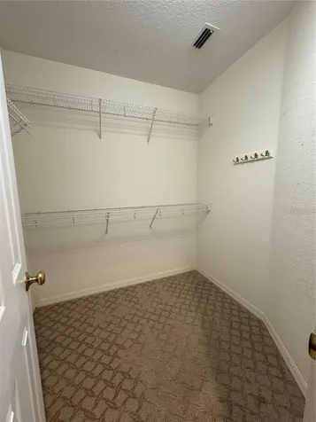 2856 Bayshore Trails Drive Tampa FL 33611