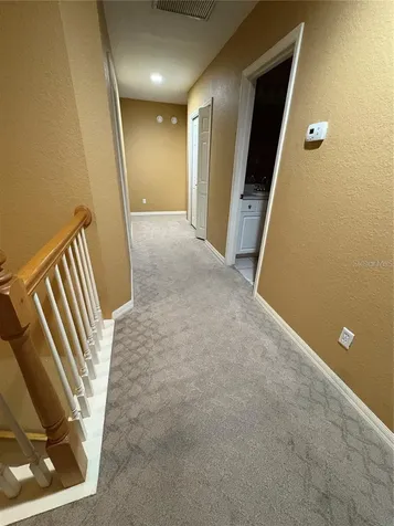2856 Bayshore Trails Drive Tampa FL 33611