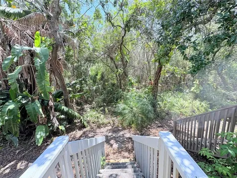 2856 Bayshore Trails Drive Tampa FL 33611
