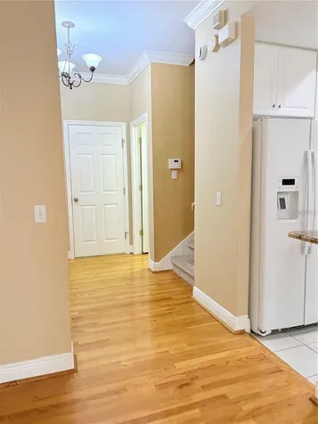 2856 Bayshore Trails Drive Tampa FL 33611