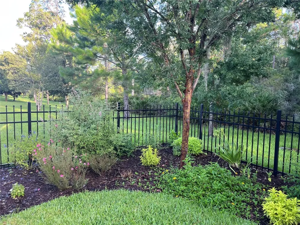 1169 Avery Meadows Way Deland FL 32724