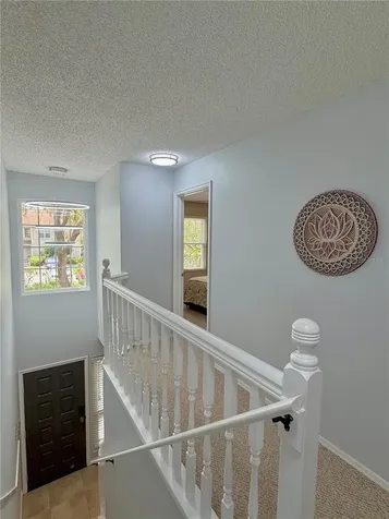 2122 Clover Hill Road Palm Harbor FL 34683