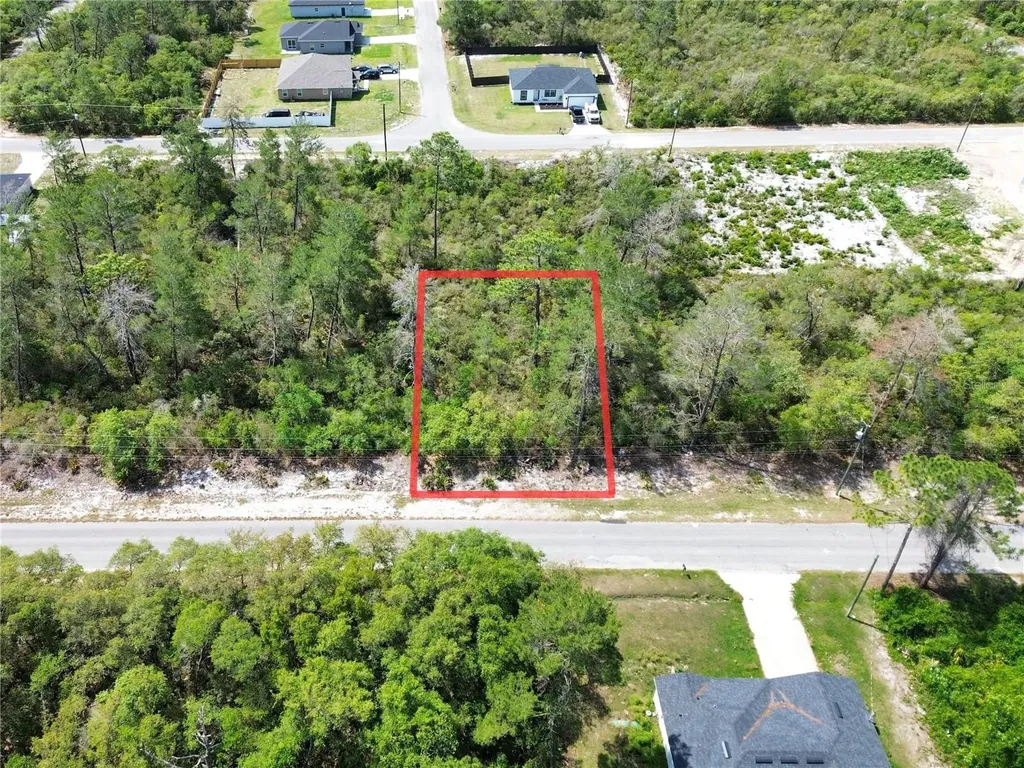 Tbd Fisher Pass Ocklawaha FL 32179