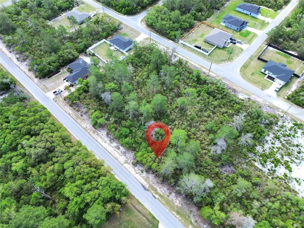 Tbd Fisher Pass Ocklawaha FL 32179