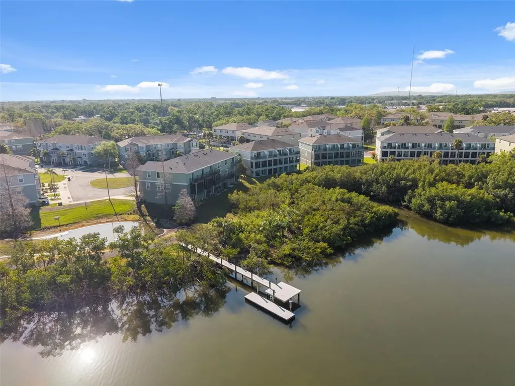 873 Tennyson Mill Circle Tampa FL 33619