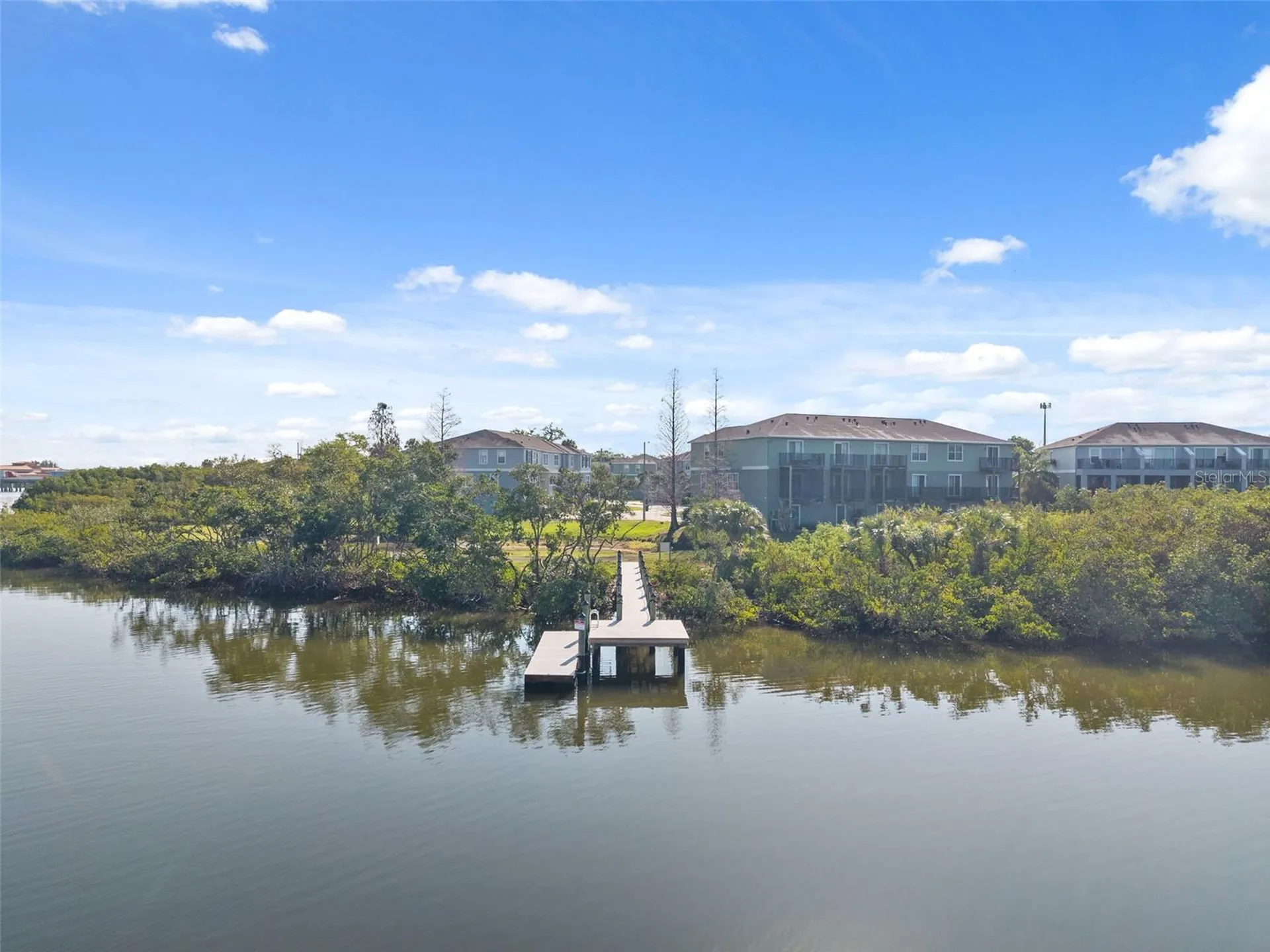 873 Tennyson Mill Circle Tampa FL 33619