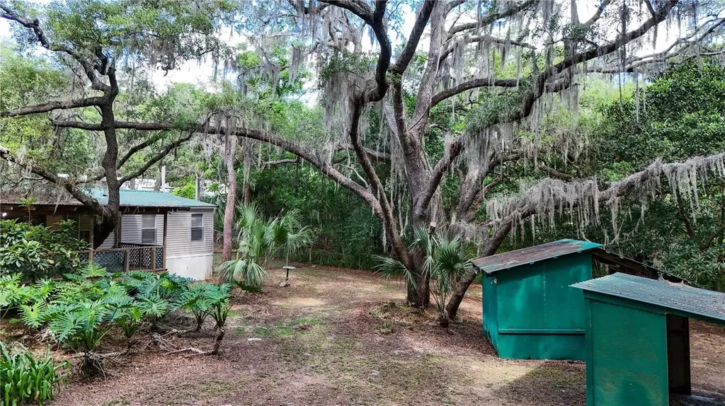 17285 SE 248th Terrace Umatilla FL 32784