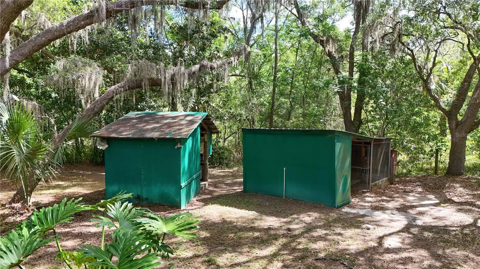 17285 SE 248th Terrace Umatilla FL 32784