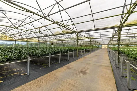 18021 E Apshawa Road Minneola FL 34715