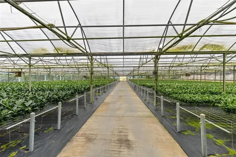 18021 E Apshawa Road Minneola FL 34715