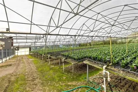 18021 E Apshawa Road Minneola FL 34715