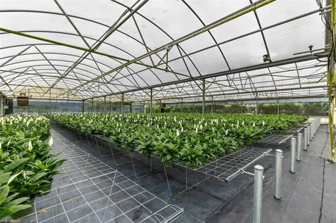 18021 E Apshawa Road Minneola FL 34715