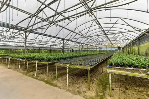 18021 E Apshawa Road Minneola FL 34715