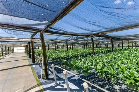 18021 E Apshawa Road Minneola FL 34715