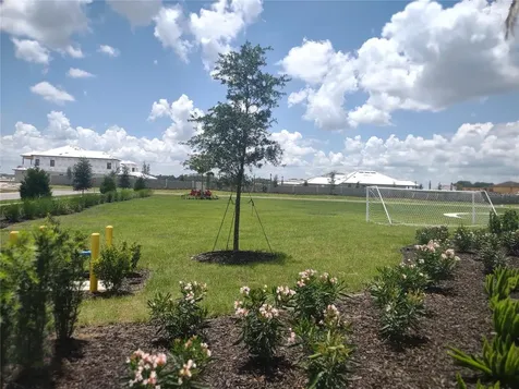 34202 Polacca Lane Wesley Chapel FL 33543