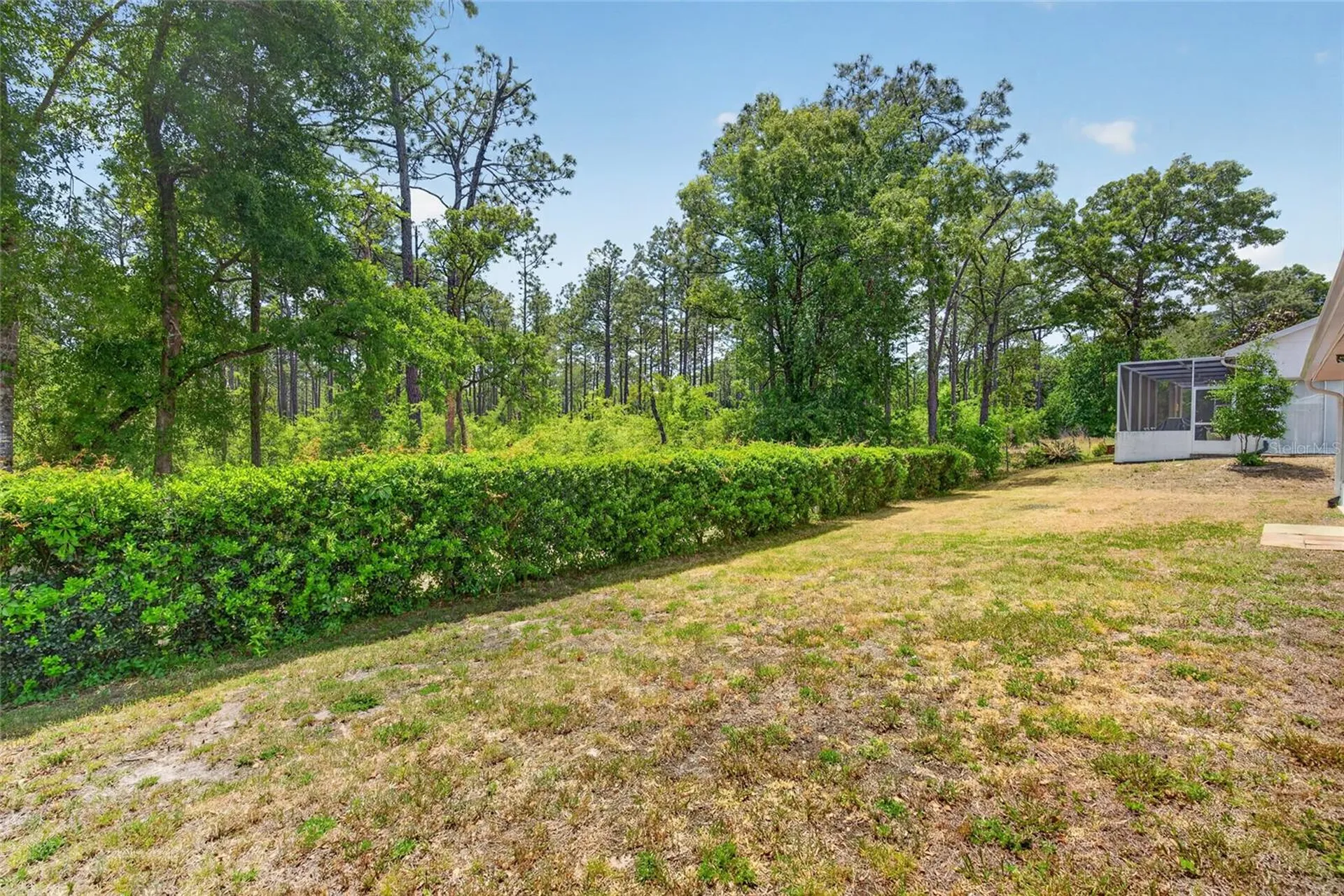 11755 SW 79th Circle Ocala FL 34476