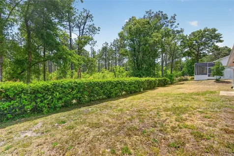 11755 SW 79th Circle Ocala FL 34476