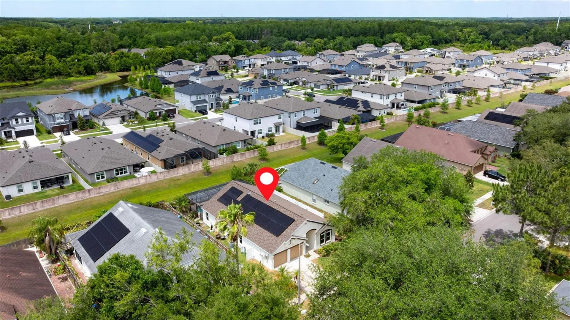 11708 Carrollwood Cove Drive Tampa FL 33624