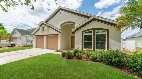 11708 Carrollwood Cove Drive Tampa FL 33624