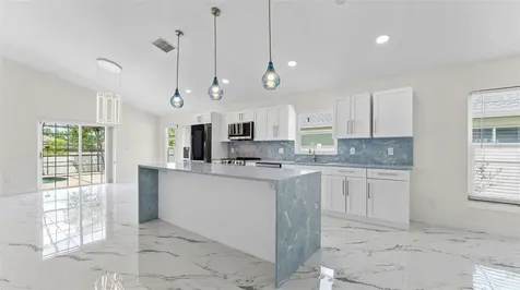 11708 Carrollwood Cove Drive Tampa FL 33624