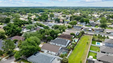 11708 Carrollwood Cove Drive Tampa FL 33624