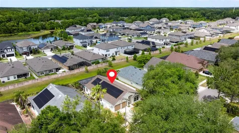 11708 Carrollwood Cove Drive Tampa FL 33624