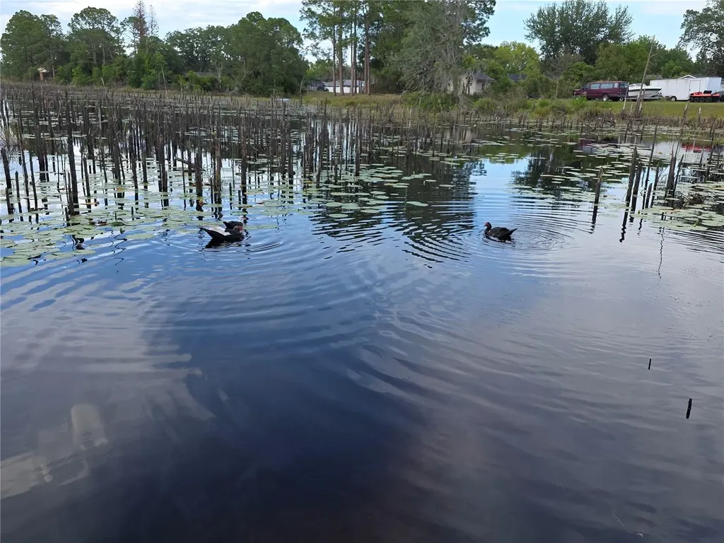 2033 Quintilis Court Deltona FL 32738