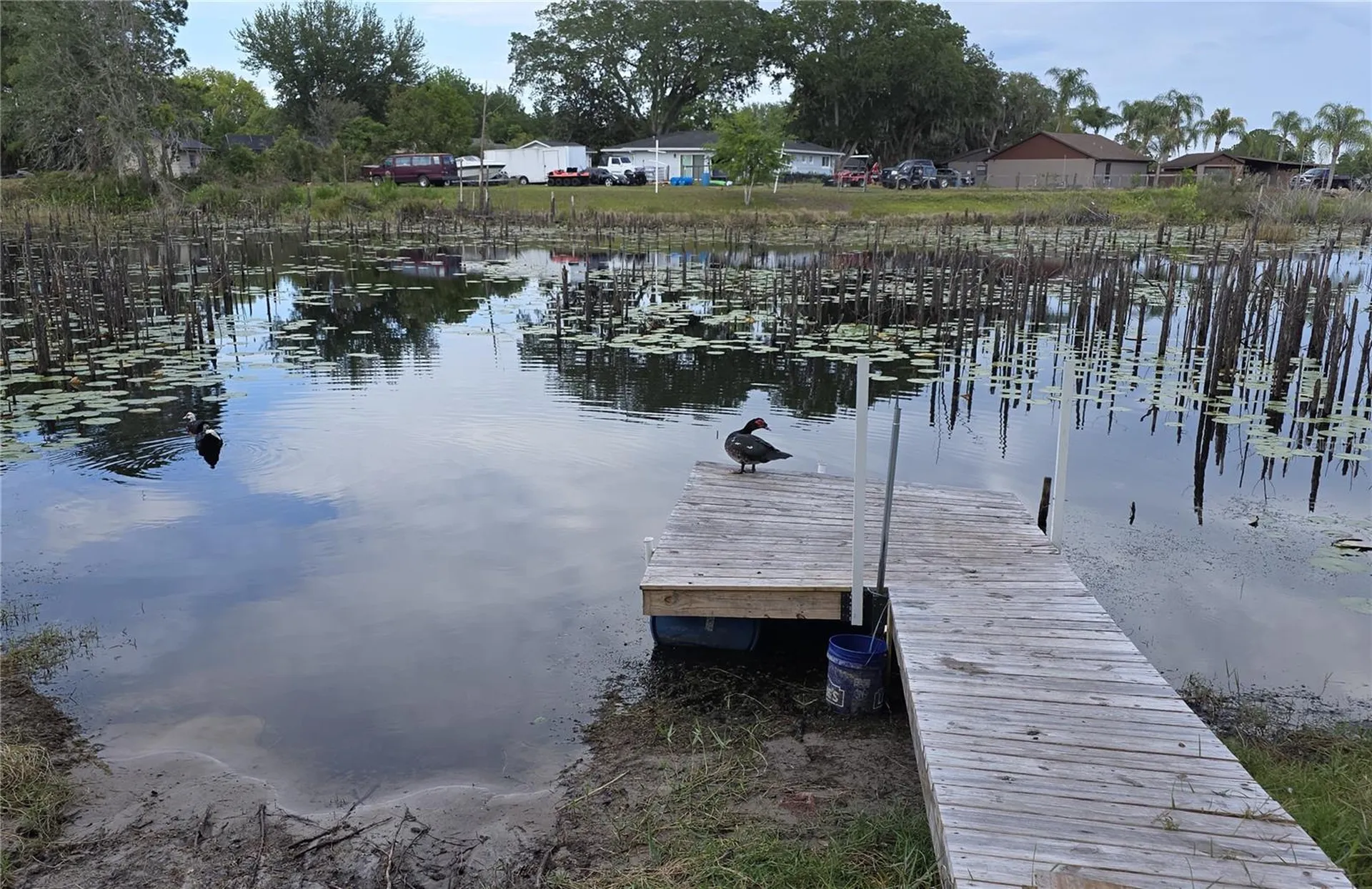 2033 Quintilis Court Deltona FL 32738