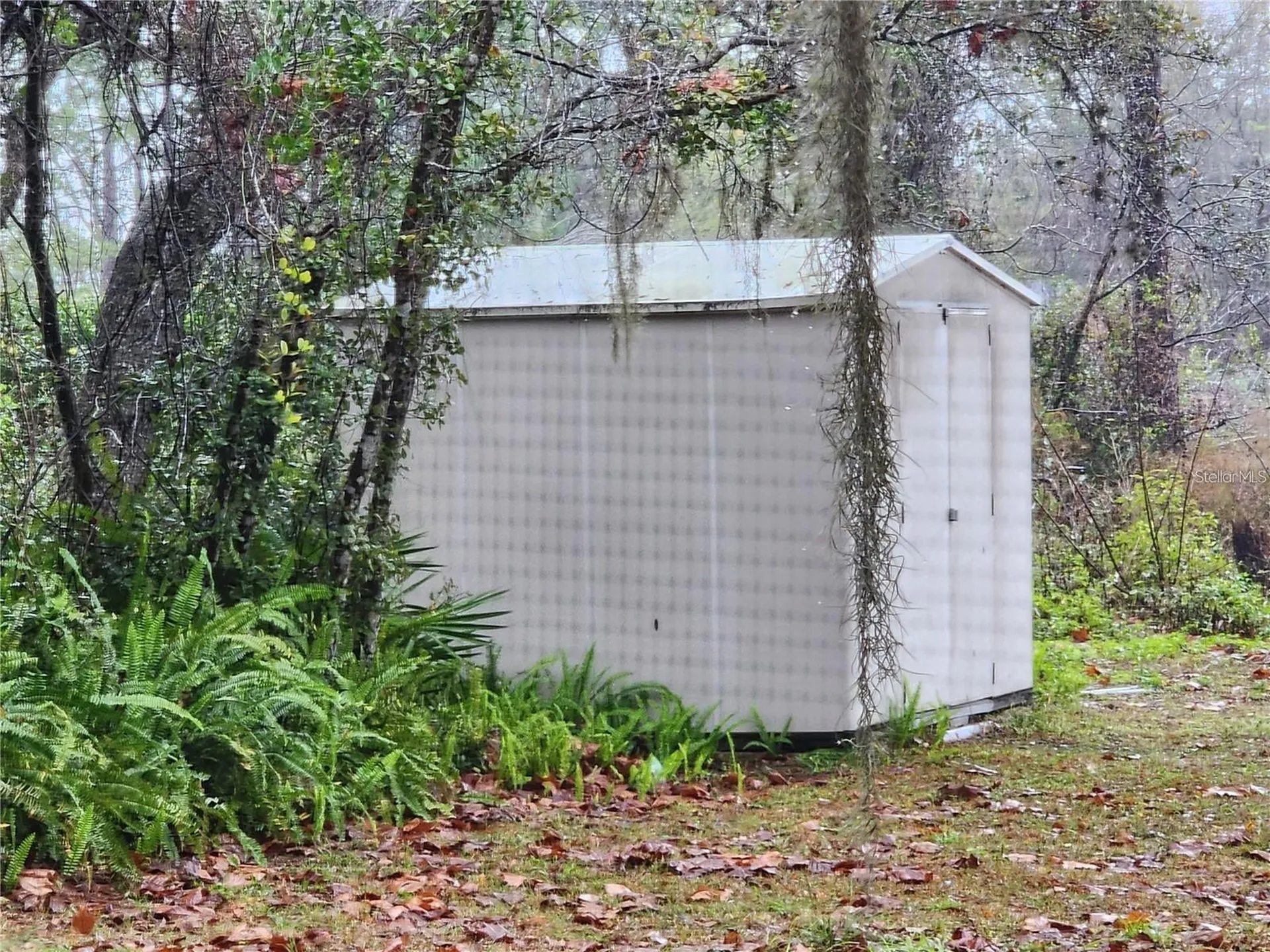 2033 Quintilis Court Deltona FL 32738