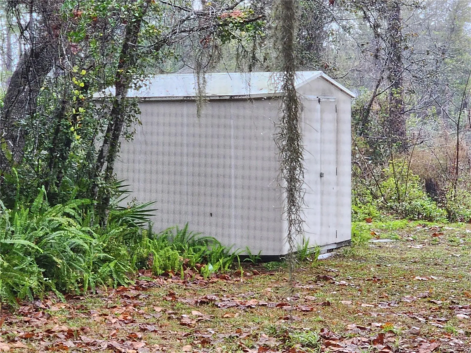 2033 Quintilis Court Deltona FL 32738
