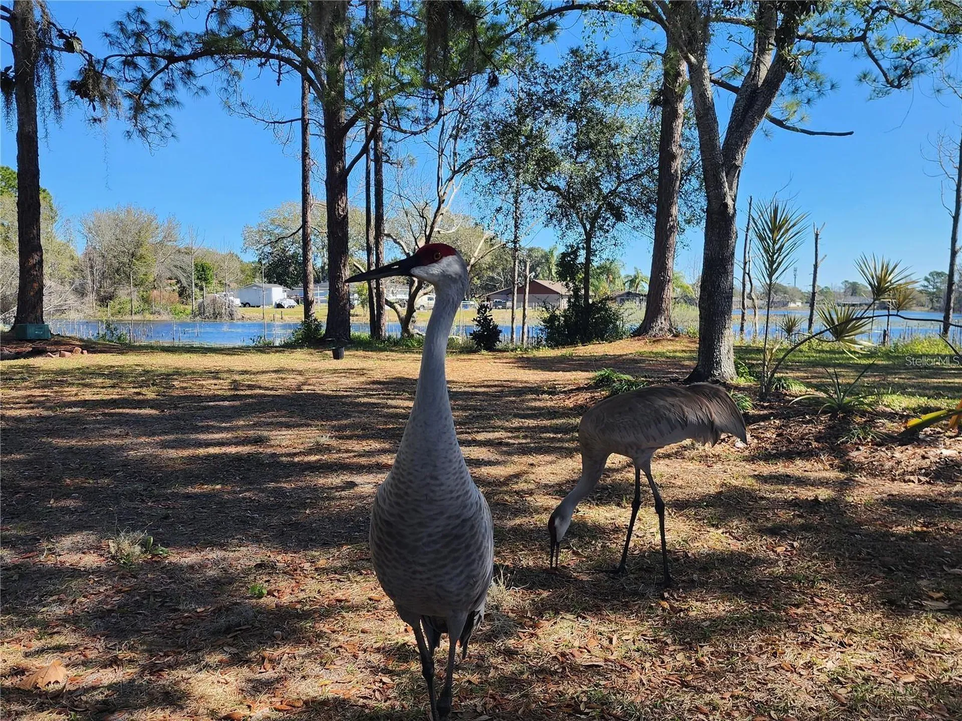 2033 Quintilis Court Deltona FL 32738