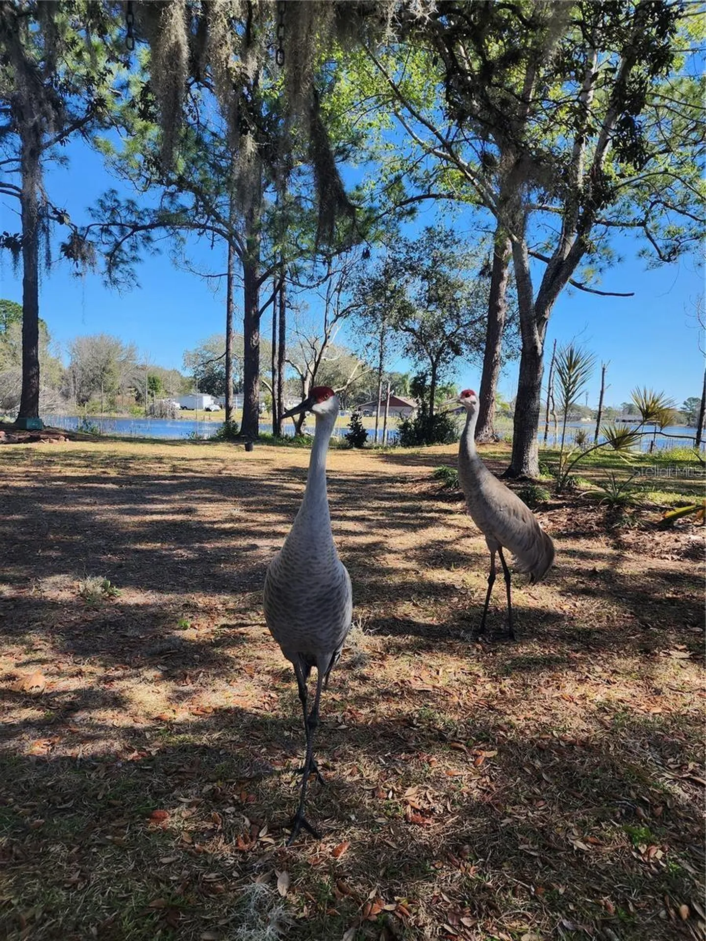 2033 Quintilis Court Deltona FL 32738