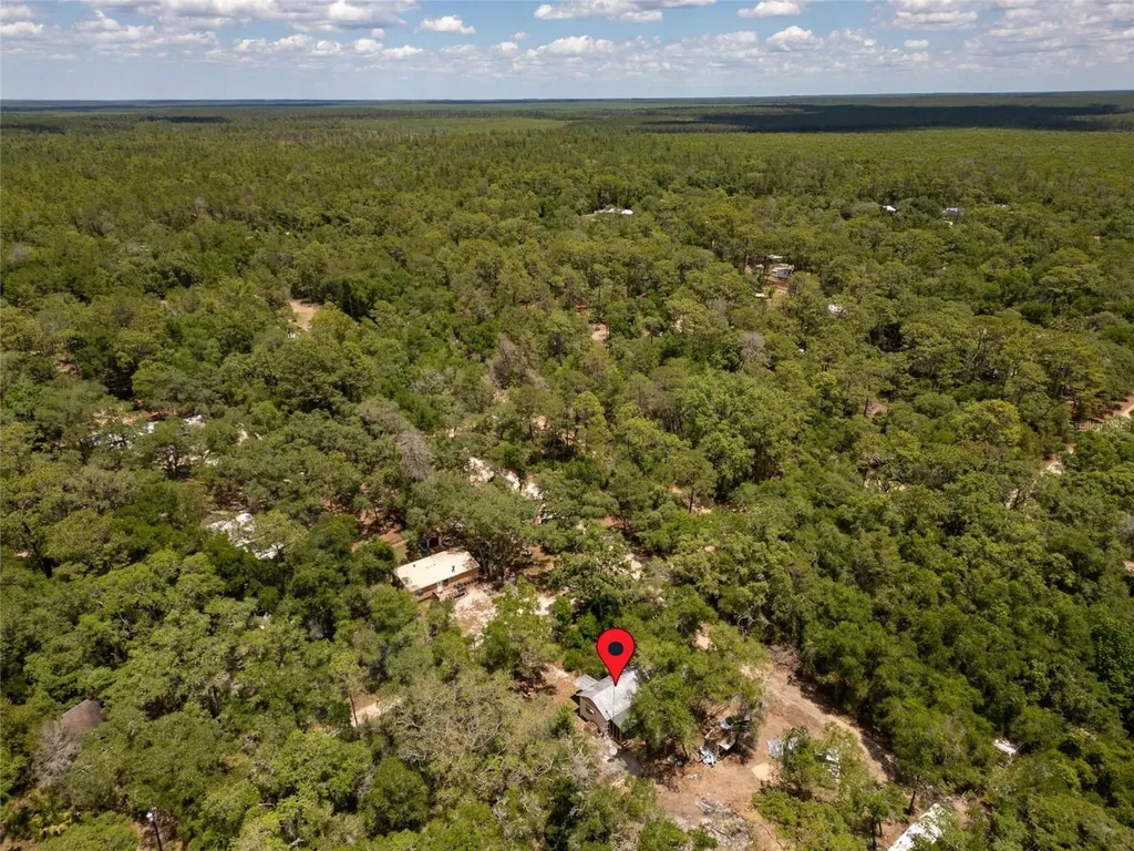 19448 SE 92nd Place Ocklawaha FL 32179