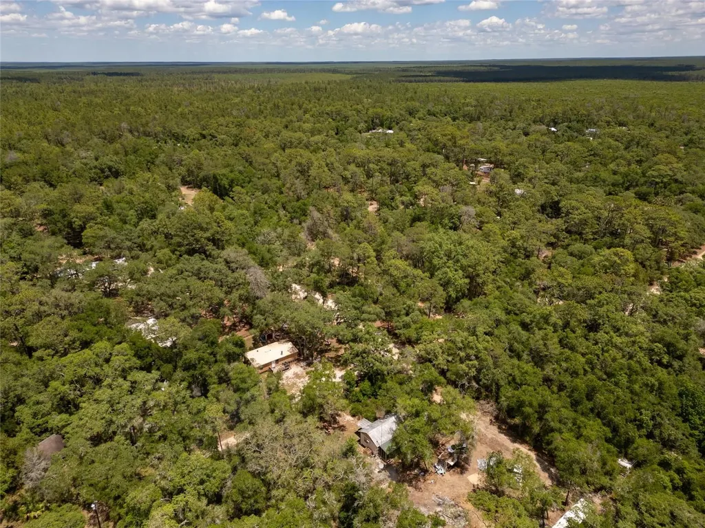 19448 SE 92nd Place Ocklawaha FL 32179