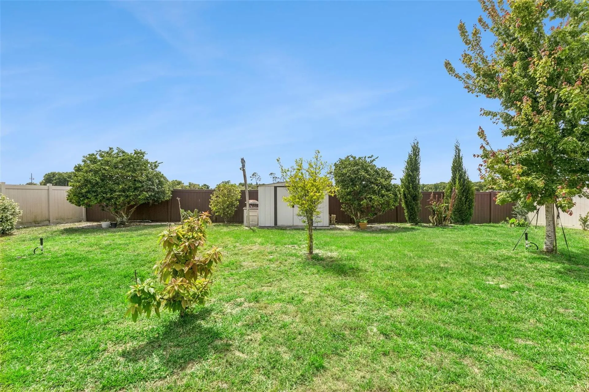 484 Cavesson Street Apopka FL 32712