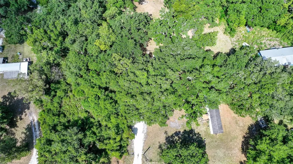2403 SE Pointer Avenue Arcadia FL 34266