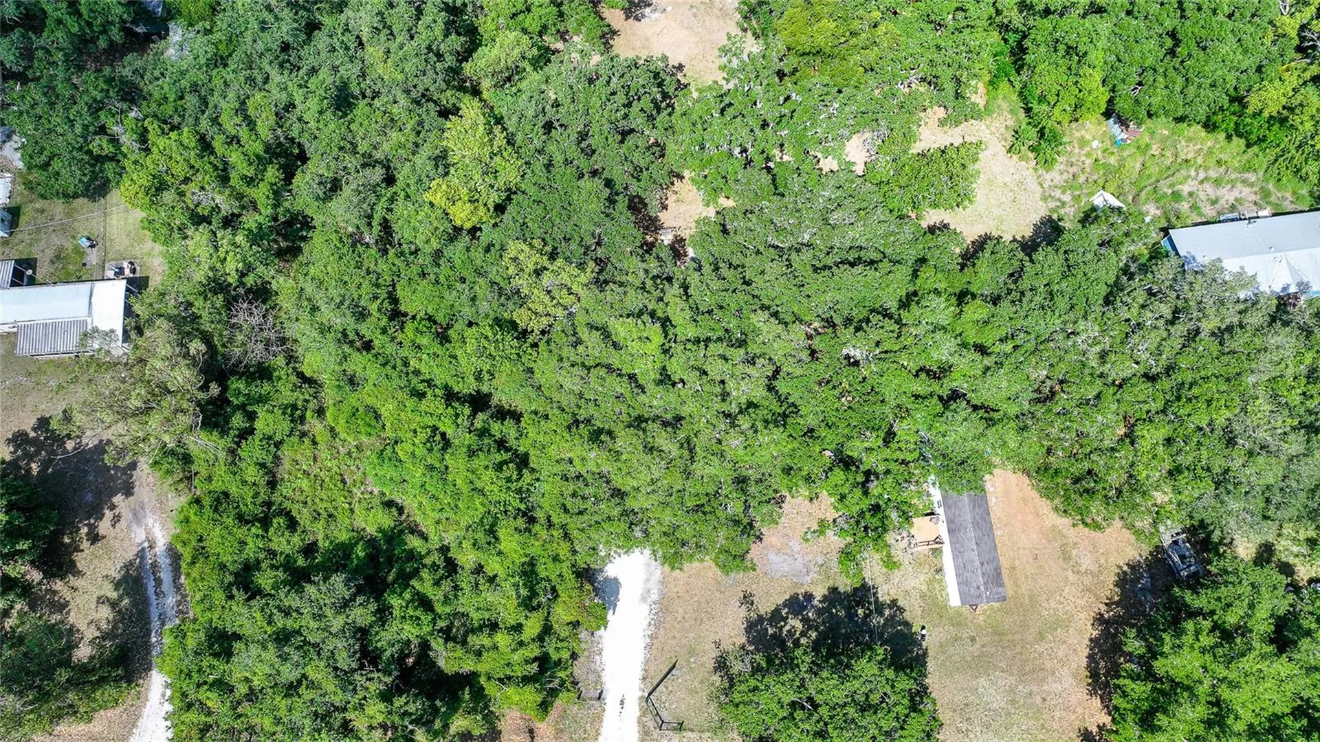 2403 SE Pointer Avenue Arcadia FL 34266